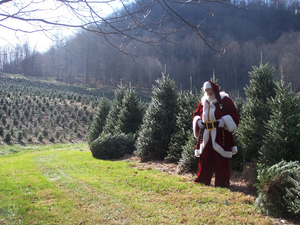 Nc Christmas Tree Farms Pictures Wallpapers Nc Christmas Tree Farms Pictures Wallpapers